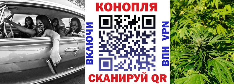 Канабис Bruce Banner  Барыш 
